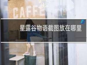 星露谷物语截图放在哪里