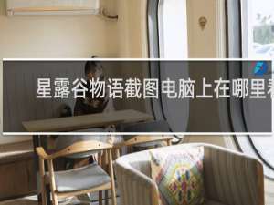 星露谷物语截图电脑上在哪里看