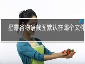 星露谷物语截图默认在哪个文件夹