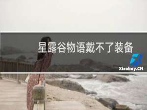 星露谷物语戴不了装备
