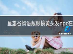 星露谷物语戴眼镜黄头发npc在哪