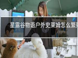 星露谷物语户外史莱姆怎么繁殖