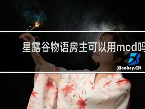 星露谷物语房主可以用mod吗