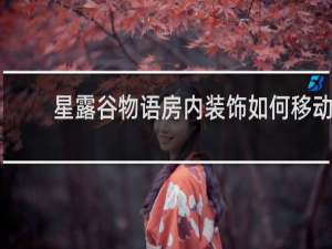 星露谷物语房内装饰如何移动