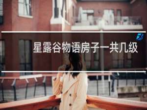 星露谷物语房子一共几级