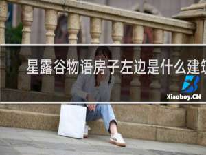 星露谷物语房子左边是什么建筑