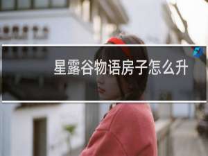 星露谷物语房子怎么升