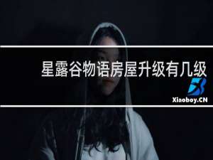 星露谷物语房屋升级有几级