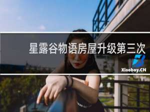 星露谷物语房屋升级第三次