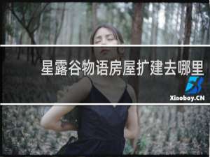 星露谷物语房屋扩建去哪里