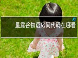 星露谷物语房间代码在哪看