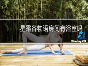 星露谷物语房间有浴室吗