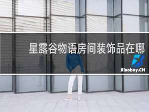 星露谷物语房间装饰品在哪