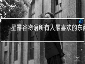 星露谷物语所有人最喜欢的东西