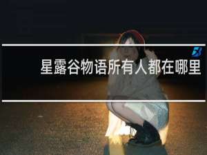 星露谷物语所有人都在哪里