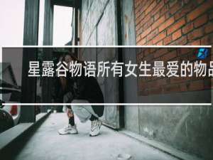 星露谷物语所有女生最爱的物品