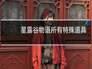 星露谷物语所有特殊道具