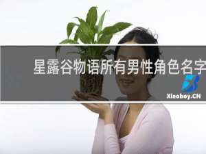 星露谷物语所有男性角色名字