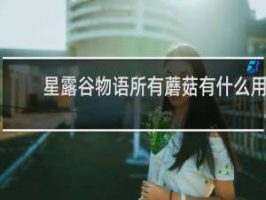 星露谷物语所有蘑菇有什么用