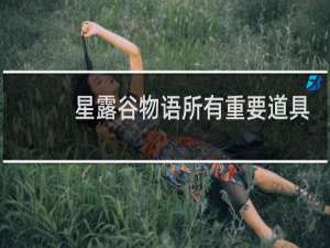 星露谷物语所有重要道具