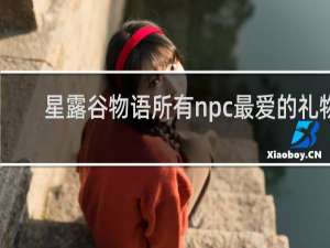 星露谷物语所有npc最爱的礼物