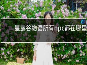 星露谷物语所有npc都在哪里