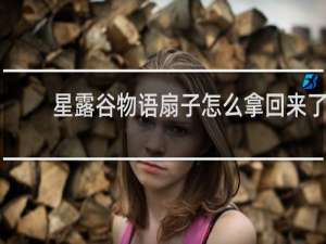 星露谷物语扇子怎么拿回来了