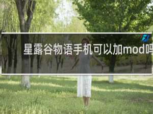 星露谷物语手机可以加mod吗