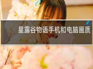 星露谷物语手机和电脑画质