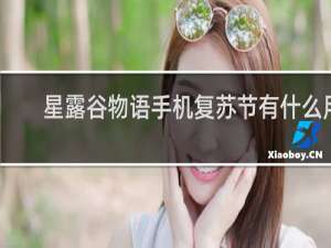 星露谷物语手机复苏节有什么用