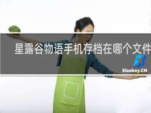 星露谷物语手机存档在哪个文件夹