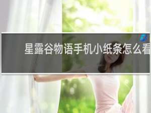 星露谷物语手机小纸条怎么看