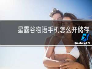 星露谷物语手机怎么开储存