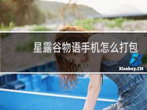 星露谷物语手机怎么打包