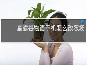 星露谷物语手机怎么改农场