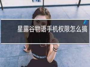 星露谷物语手机权限怎么搞