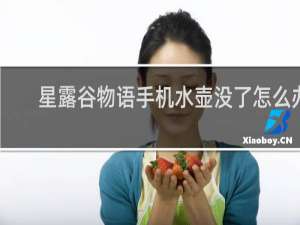 星露谷物语手机水壶没了怎么办