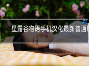 星露谷物语手机汉化最新普通版