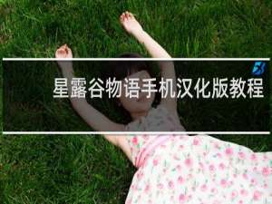 星露谷物语手机汉化版教程
