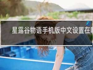 星露谷物语手机版中文设置在哪