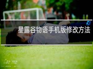星露谷物语手机版修改方法