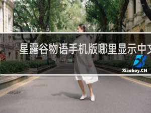 星露谷物语手机版哪里显示中文