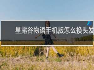 星露谷物语手机版怎么换头发