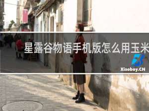 星露谷物语手机版怎么用玉米