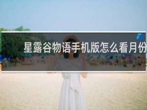 星露谷物语手机版怎么看月份
