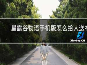 星露谷物语手机版怎么给人送礼
