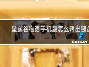 星露谷物语手机版怎么调出键盘