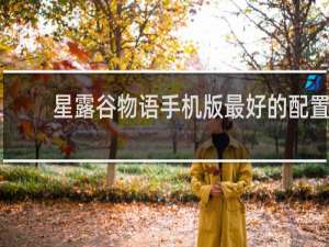 星露谷物语手机版最好的配置
