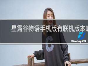 星露谷物语手机版有联机版本嘛