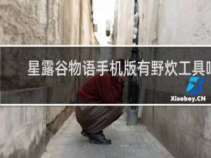 星露谷物语手机版有野炊工具吗